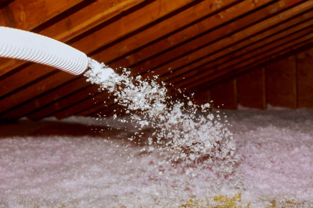 Best Energy Efficiency Insulation in St Michaels, MD