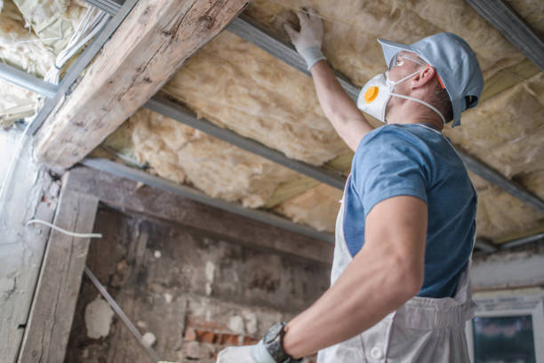 Best Specialized Insulation Services in St Michaels, MD