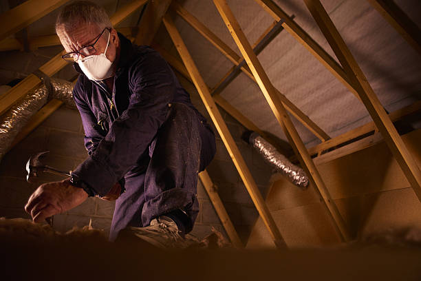 Best Energy Efficiency Insulation in St Michaels, MD